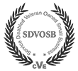 Online Digital Marketing Agency Veteran Owned Business BlendIM